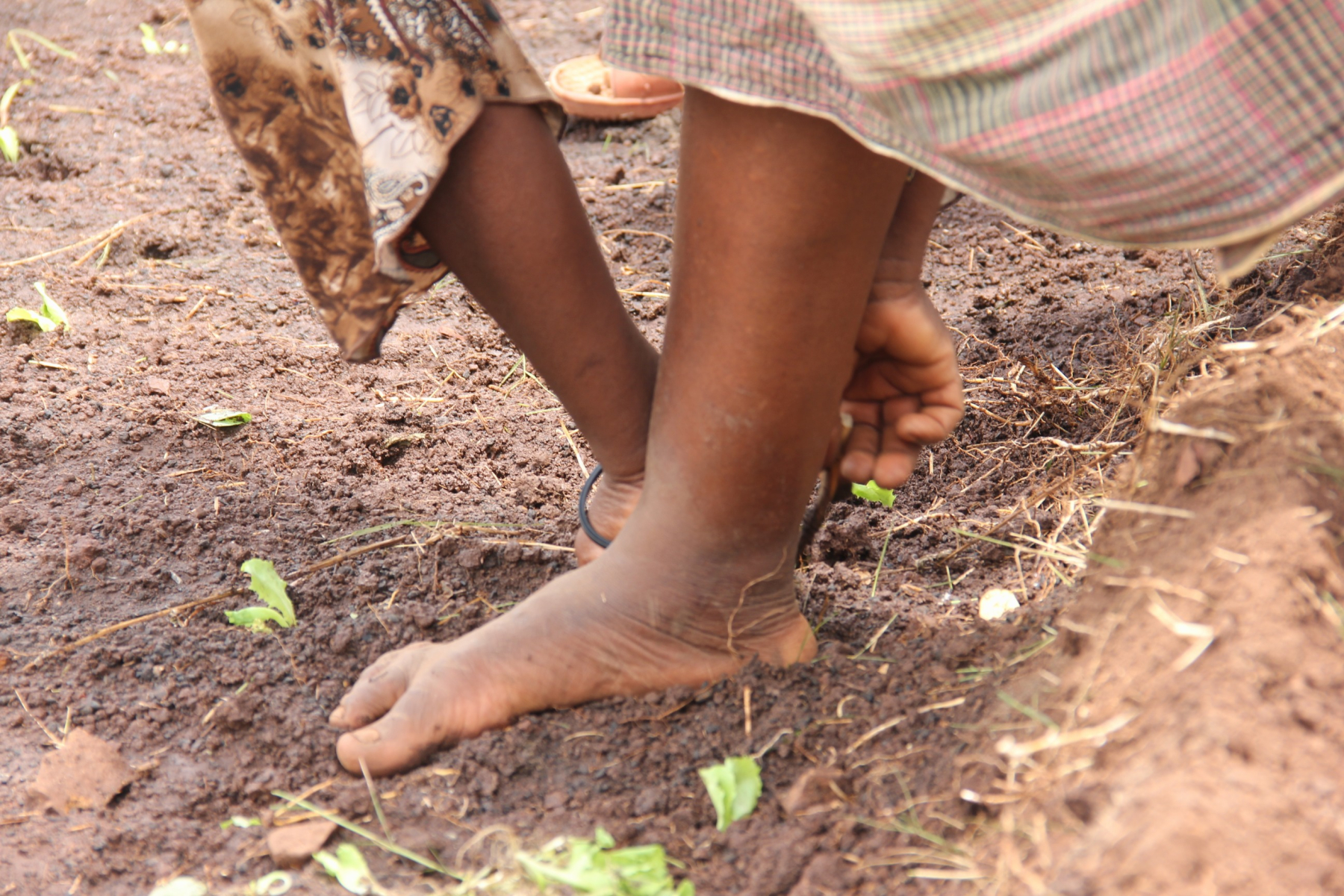 fondi-speciali-per-il-mozambico-in-ginocchio-per-la-siccita