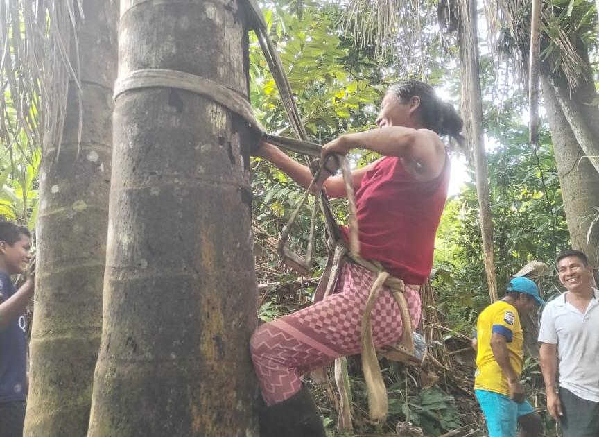 in-peru-per-una-raccolta-sostenibile-dellaguaje