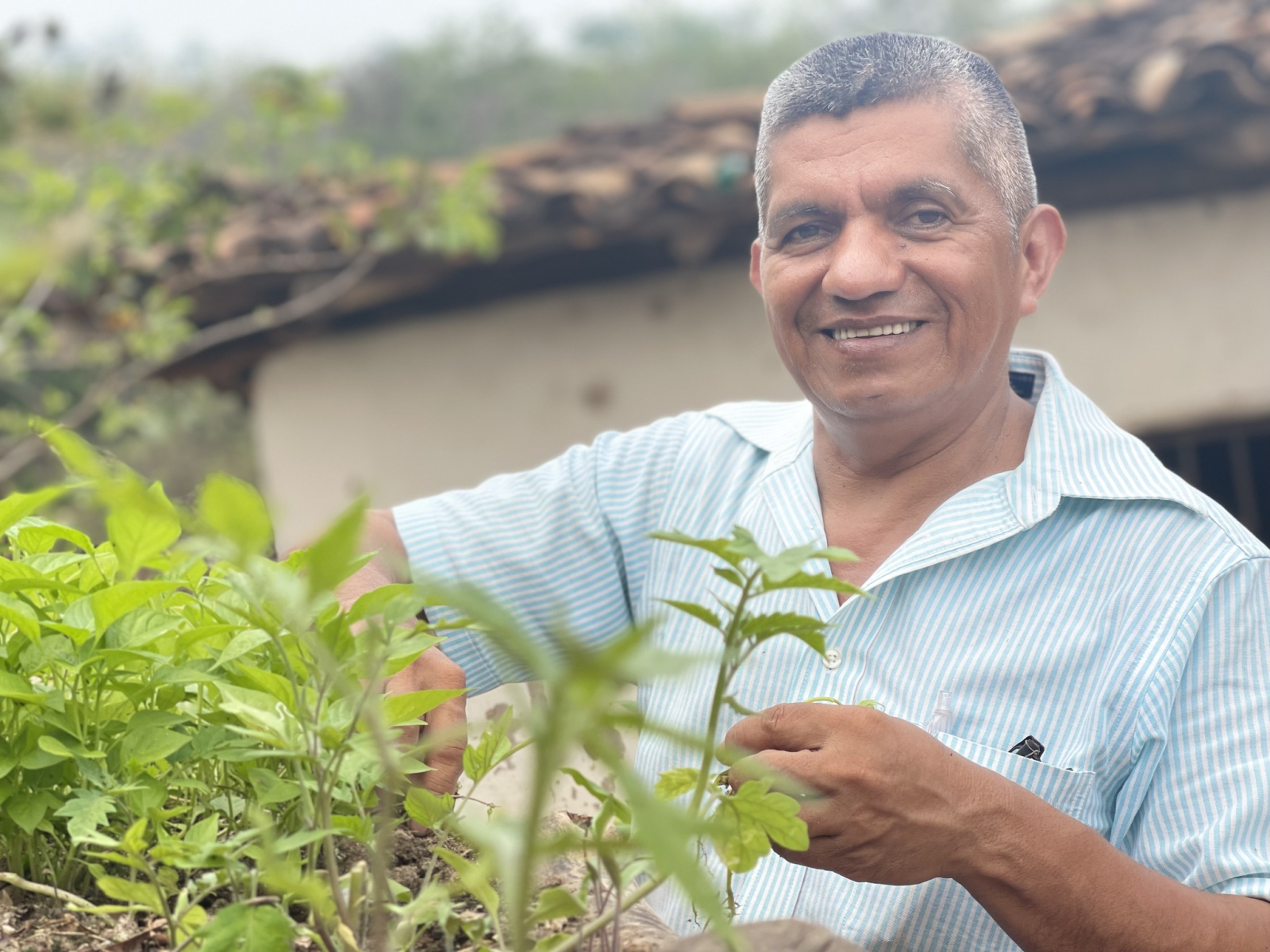 coltivazioni-biodiverse-per-un-honduras-resiliente