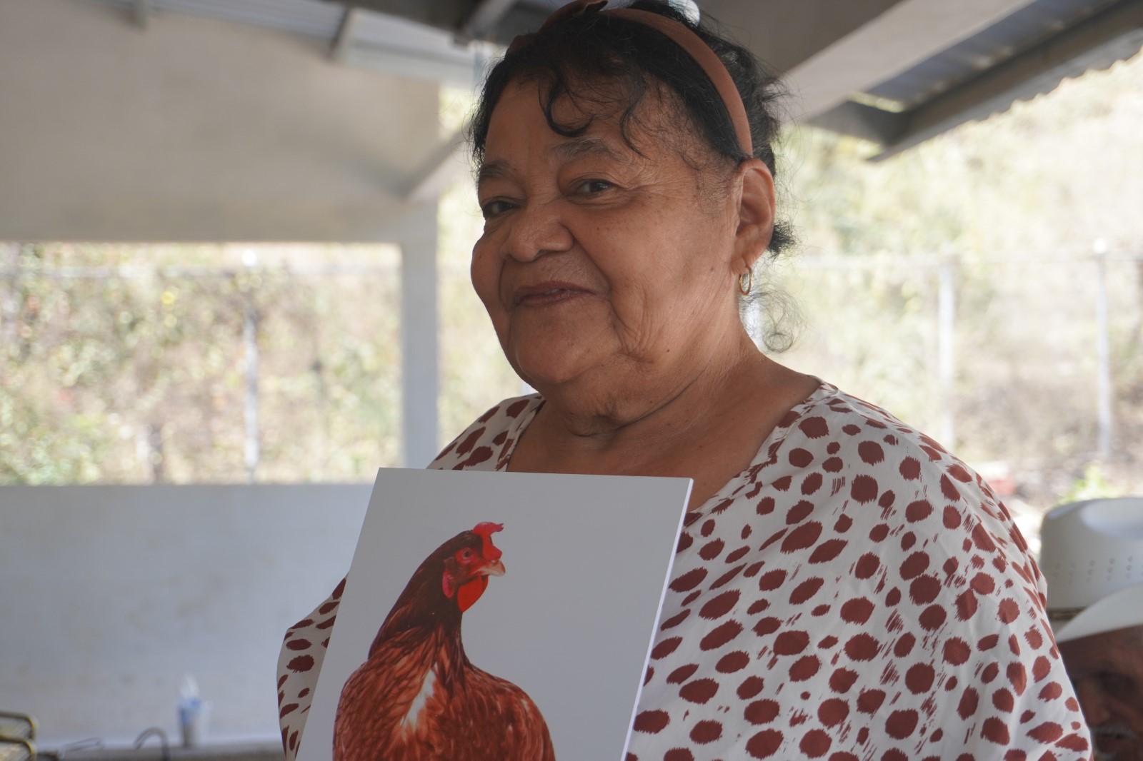 animali-da-cortile-difendono-dal-cambiamento-climatico