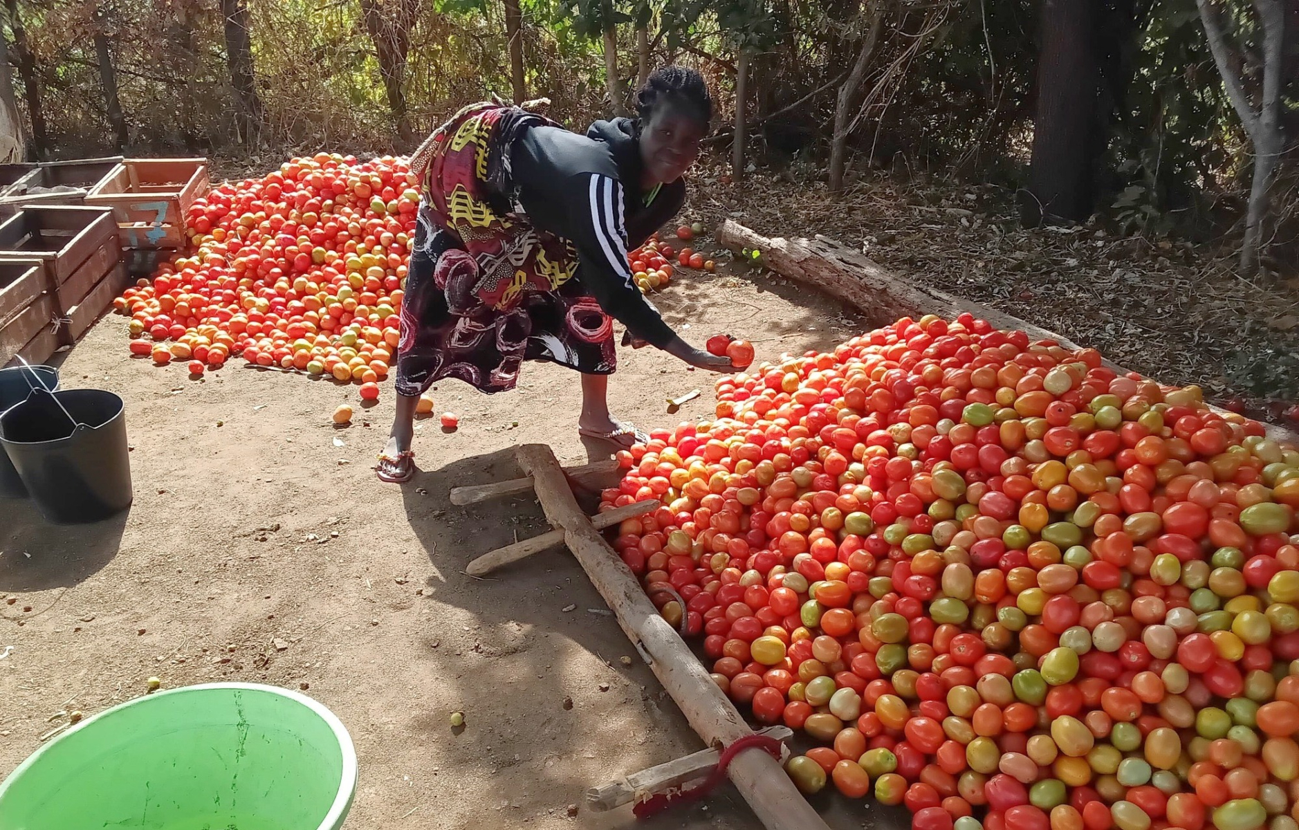la-terra-risponde-quando-e-trattata-con-cura