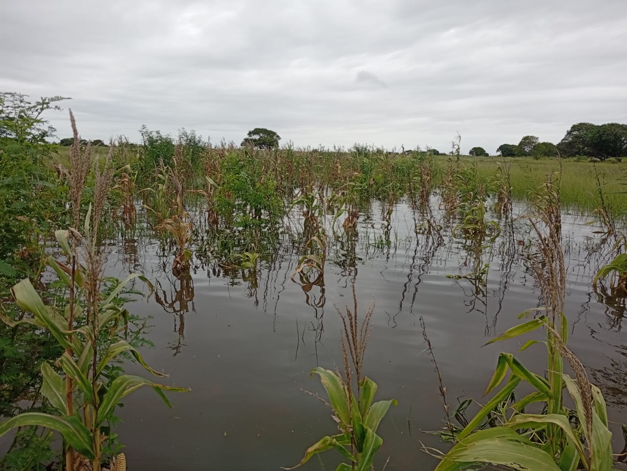 inondazioni-e-fragilita-negano-un-futuro-sicuro